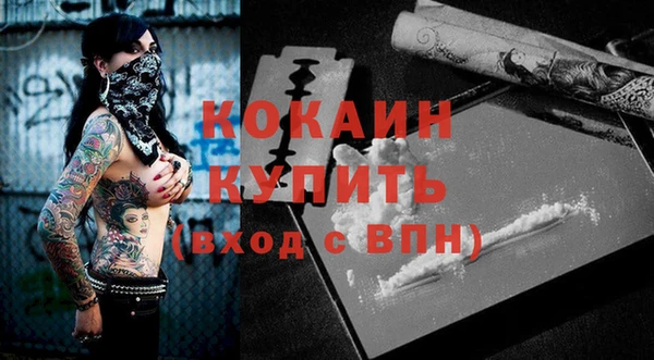 дживик Алексин