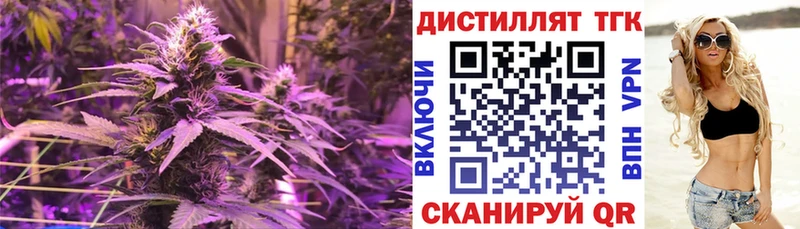 сколько стоит  Зубцов  Дистиллят ТГК THC oil 